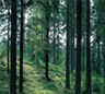 Sustainability and Resource Efficiency Sustainability and Resource Efficiency
