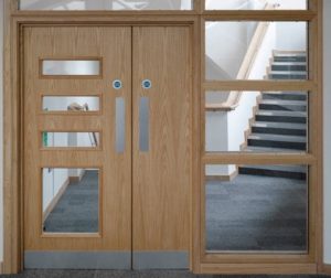 Fire door with glass panels