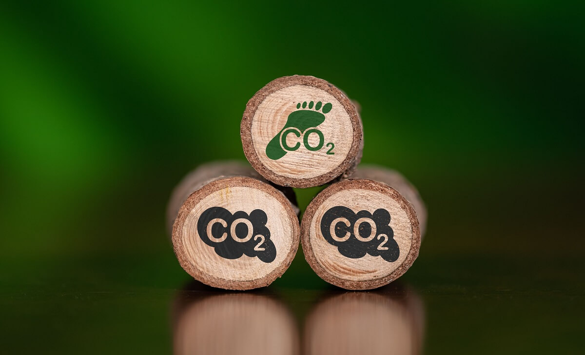 Whole-life carbon assessment – the only practical path towards Net Zero
