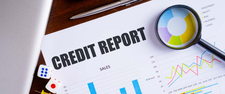 BWF Credit Check Service
